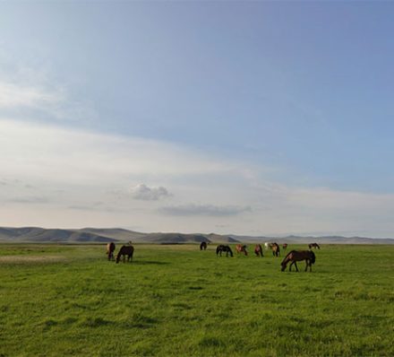 Arrival in Hailar / Barga Grassland