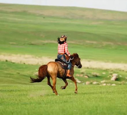 Barga Grassland / Departure from Hailar