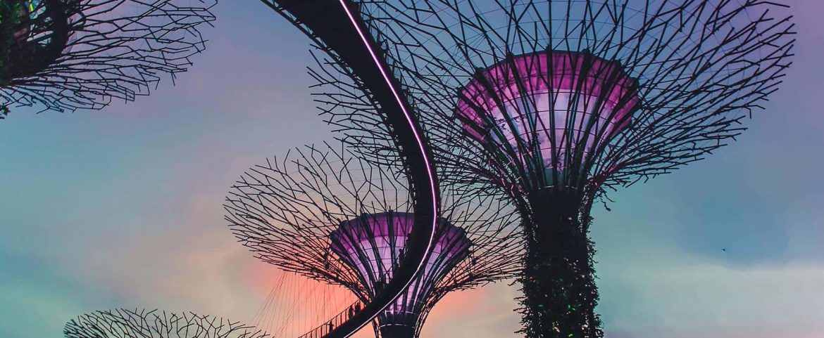 Insider Recommendation in Singapore – where to stay, eat and play