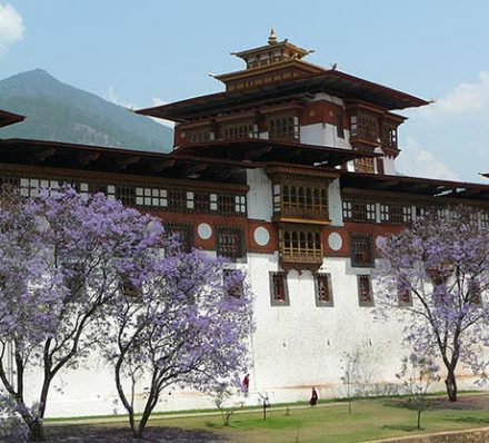 Punakha / Tashitang / Punakha 