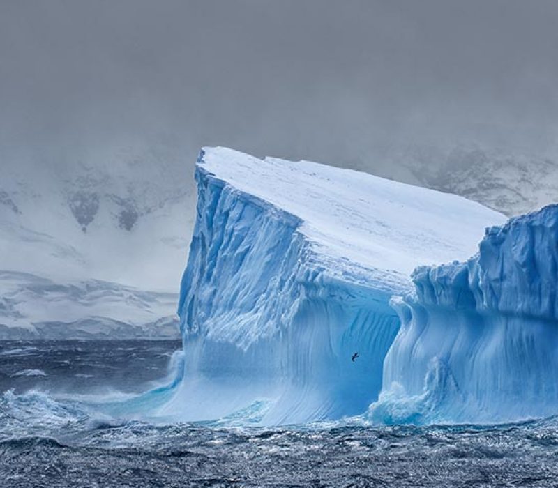 12 DAYS ANTARCTICA IMMERSION