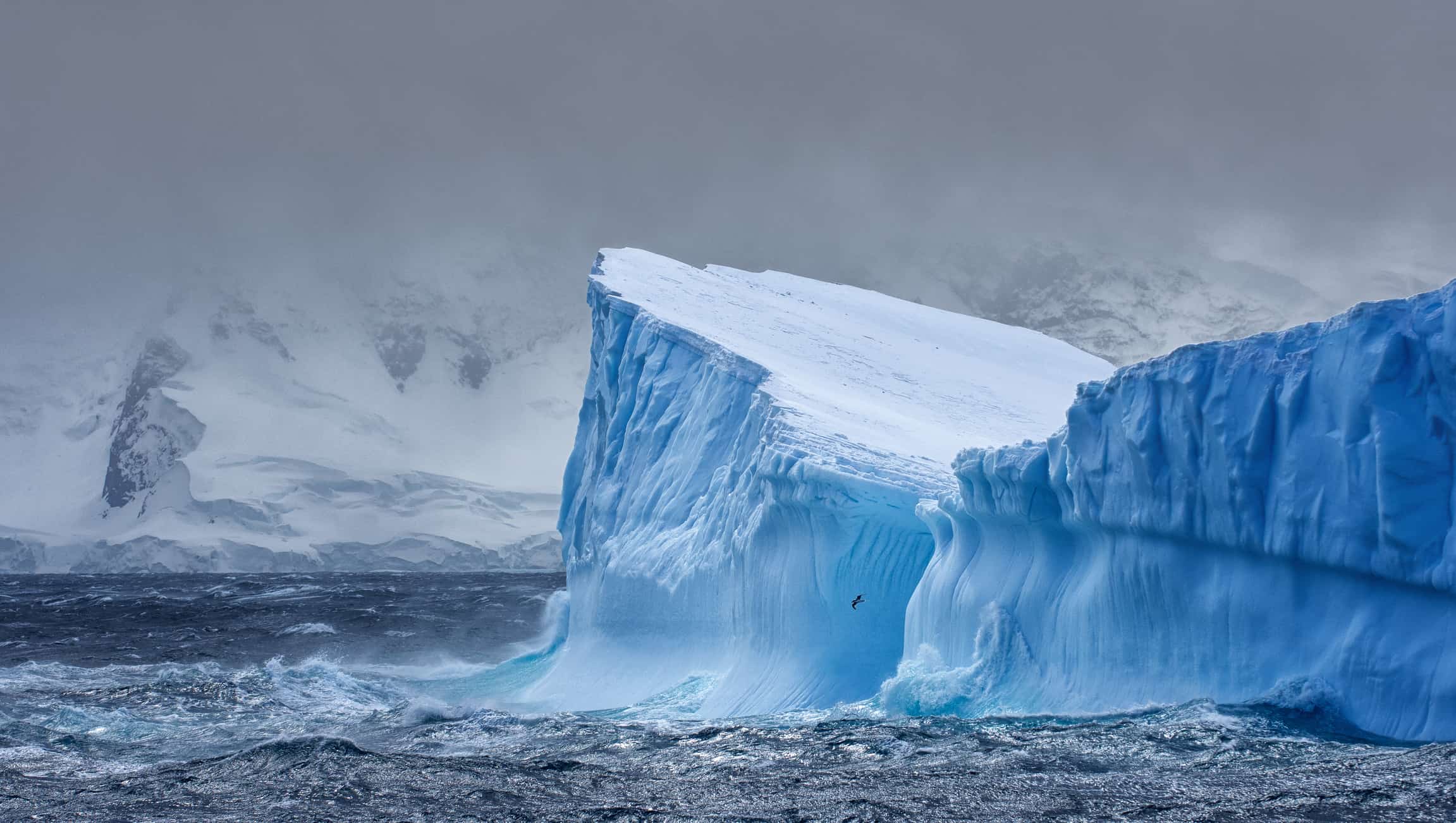 Iceberg in Antarctica