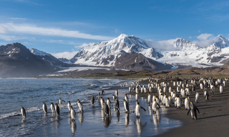 Antarctica peninsula