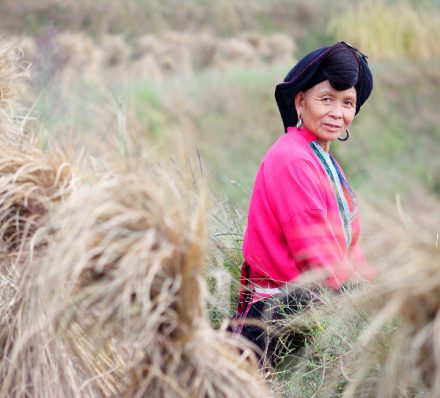 Ethnic Woman