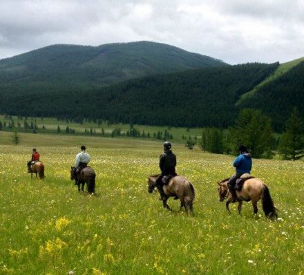 Jalman horse ride with guest's