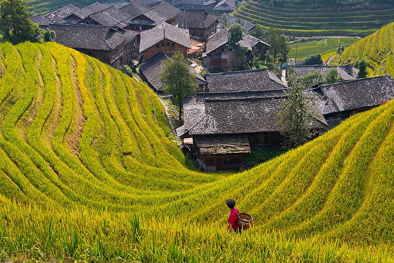 Long Sheng rice terrace