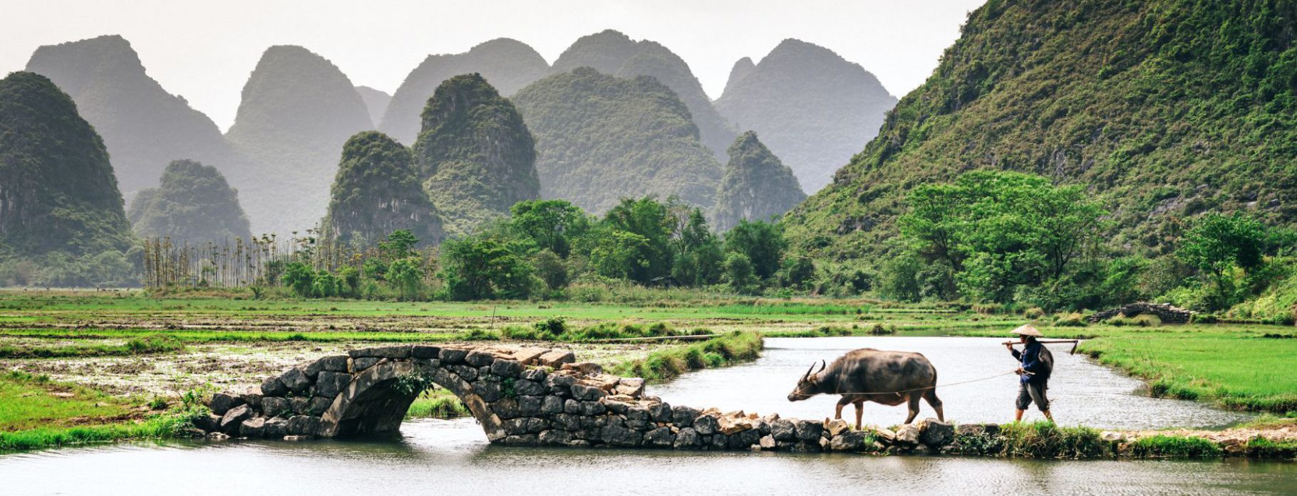 Yangshuo rice field