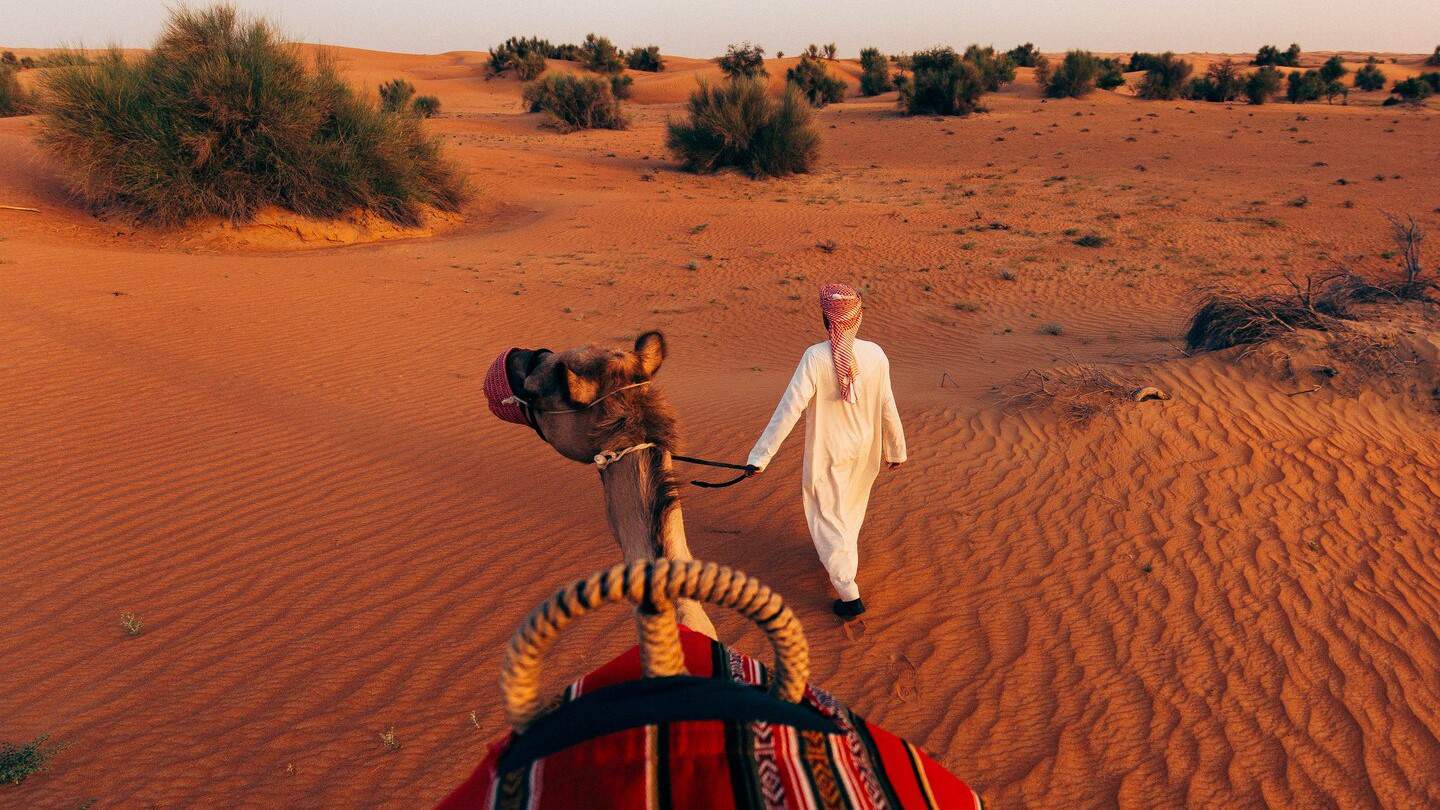 Al Maha - Camel Trek
