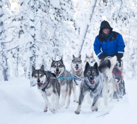 Inari / Kirkenes