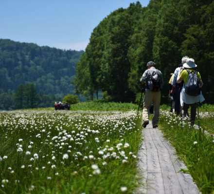 Yuzawa Onsen / Oze National Park / Tokyo