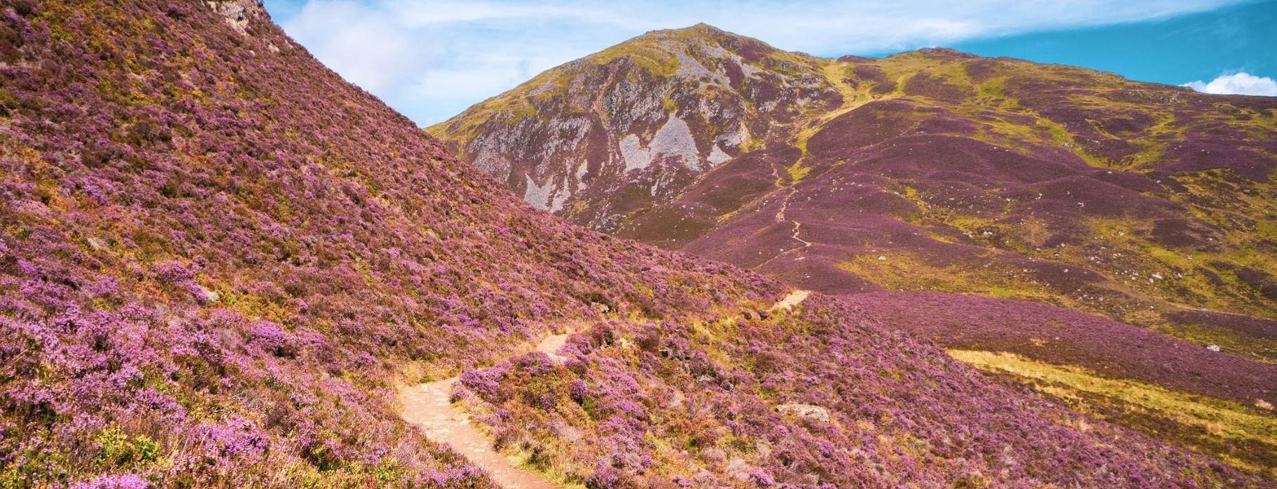D0 Cairngorms Main