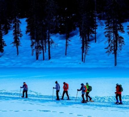 Cortina D’ampezzo / Sennes Plateau