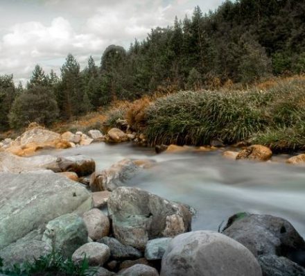 D9 Cairngorms - Stream