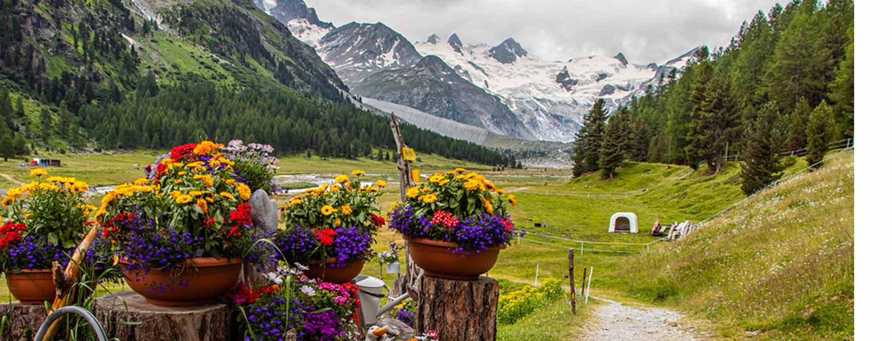 Beautiful,Mountain,Hike,Through,Val,Roseg,Along,Glacier,Near,St.