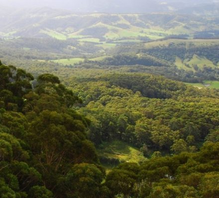 Southern Highlands