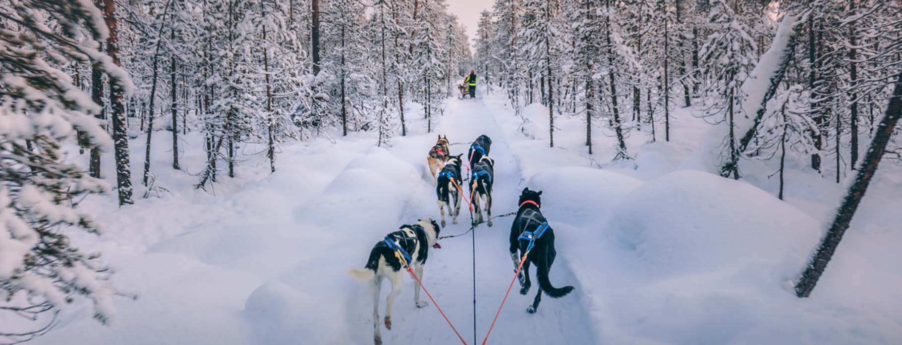 8 DAYS SWEDISH AND FINNISH LAPLAND FUN