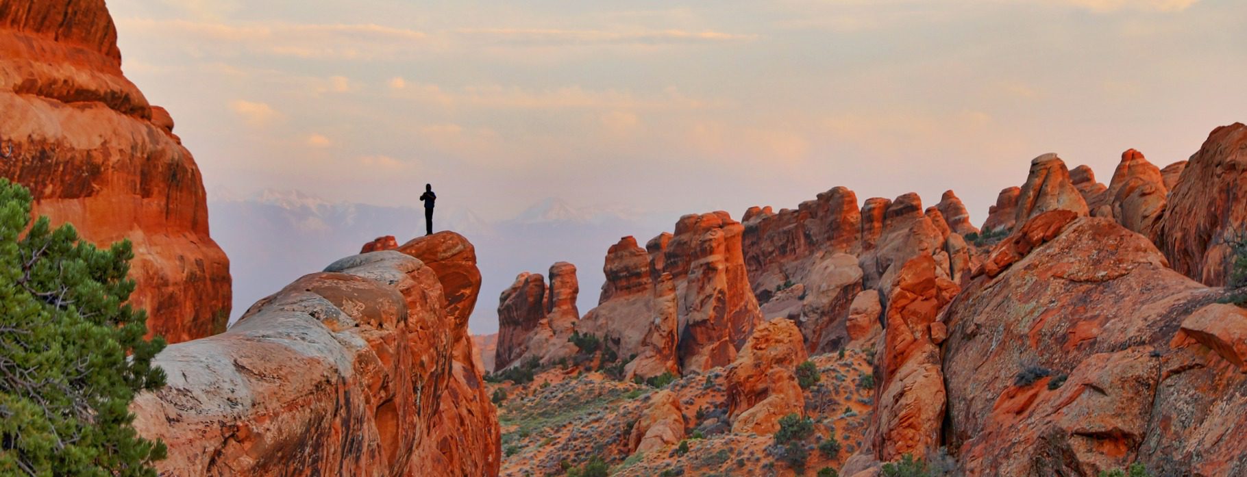 D0 US National Park