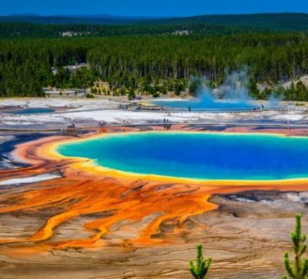 WYOMING / YELLOW STONE NATIONAL PARK / WYOMING