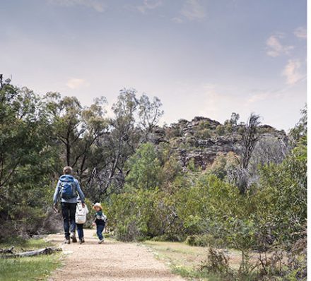 WARRNAMBOOL / HALLS GAP