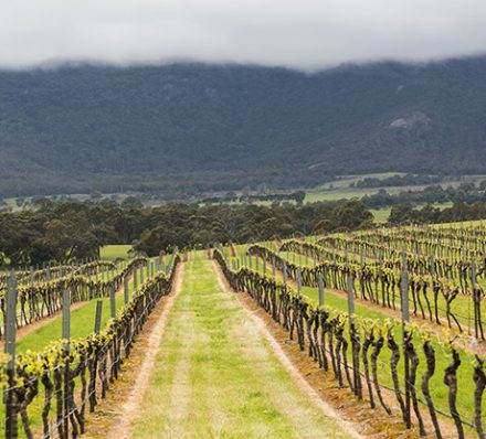 HALLS GAP / BALLARAT