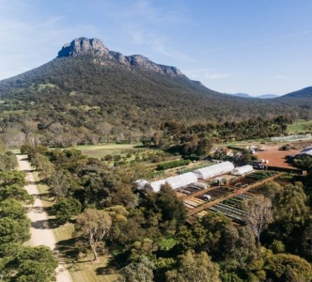 D5 Grampians Royal Mail Hotel
