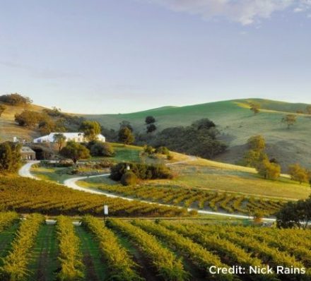 D8 Barossa Valley - Credit Nick Rains