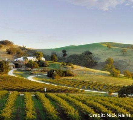 BAROSSA VALLEY / DEPARTURE FROM ADELAIDE