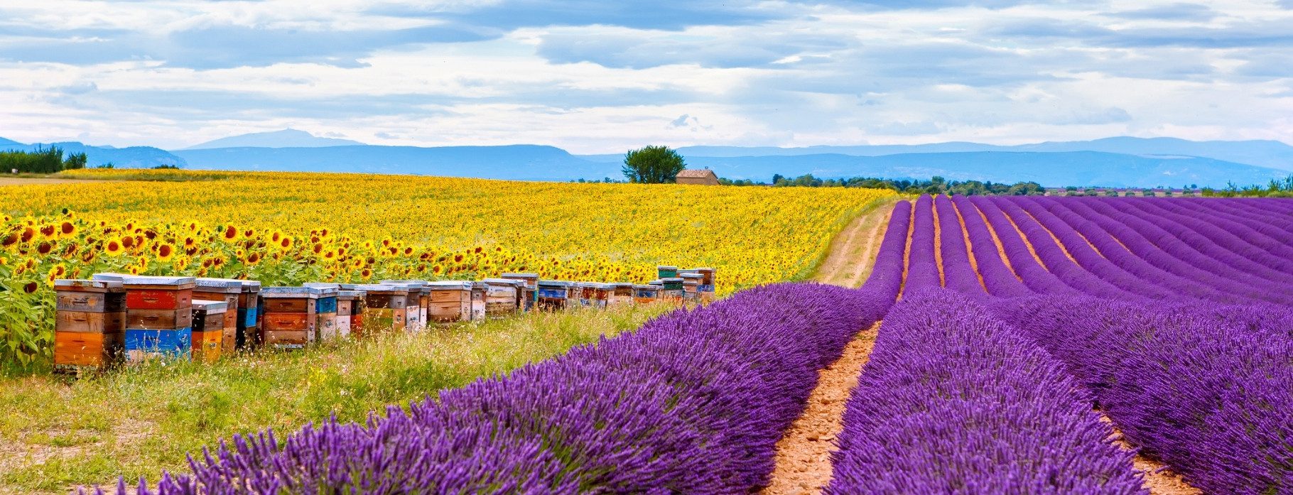 Provence