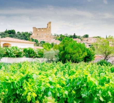 Chateauneuf-du-Pape