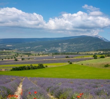 Mt Ventoux