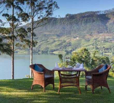 D3 Tea Trails Garden