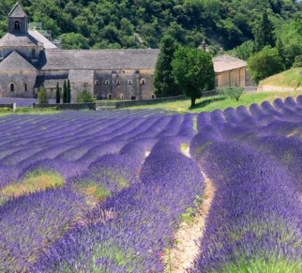 L’ISLE SUR LA SORGUE / GORDES / ROUISSILLON / L’ISLE SUR LA SORGUE