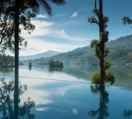 D4 Tea Trails Summerville Pool