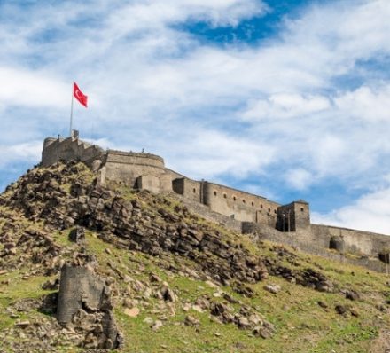 D11 Kars