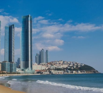 D7 Busan
