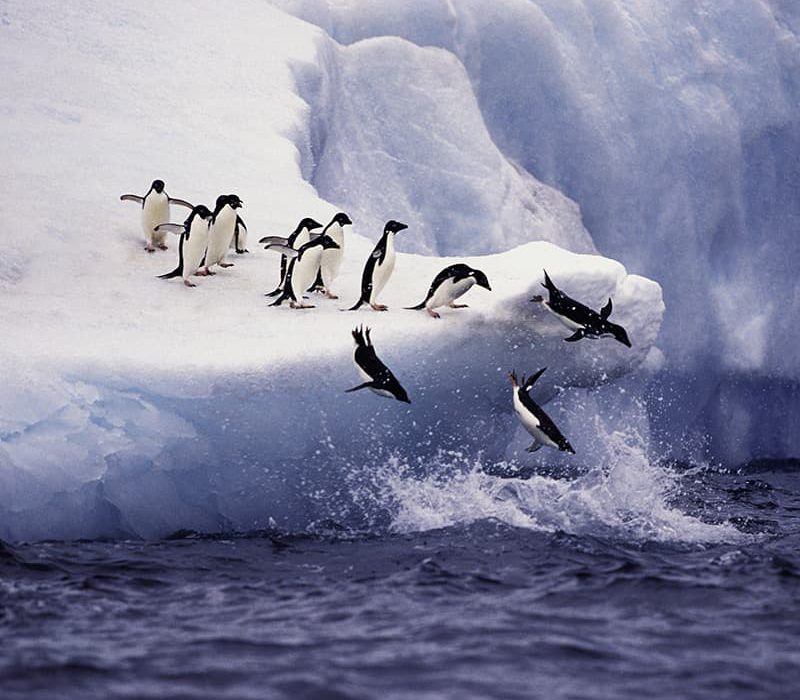 Antarctica