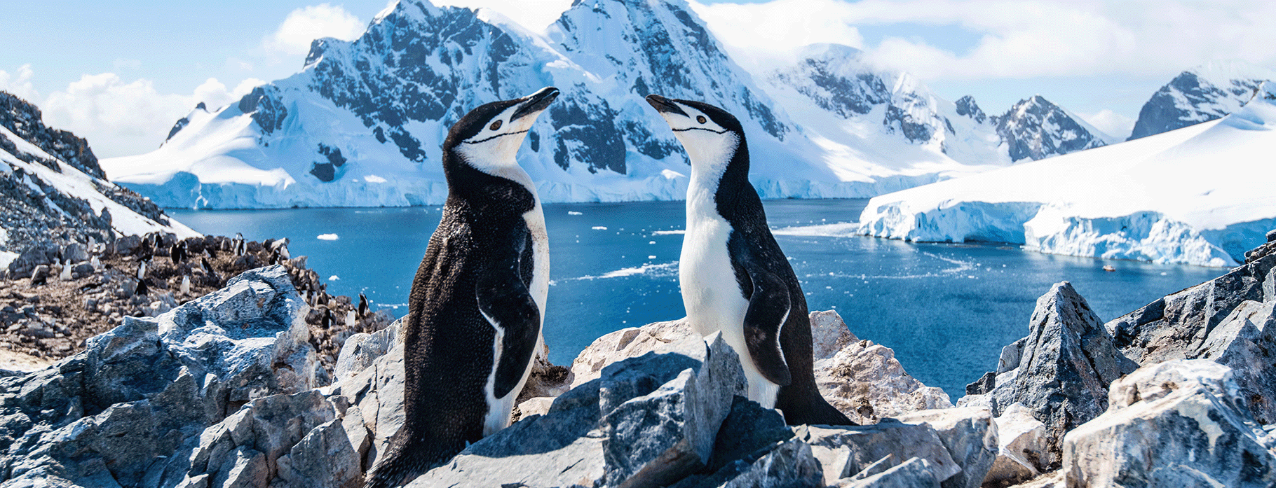 Antarctica