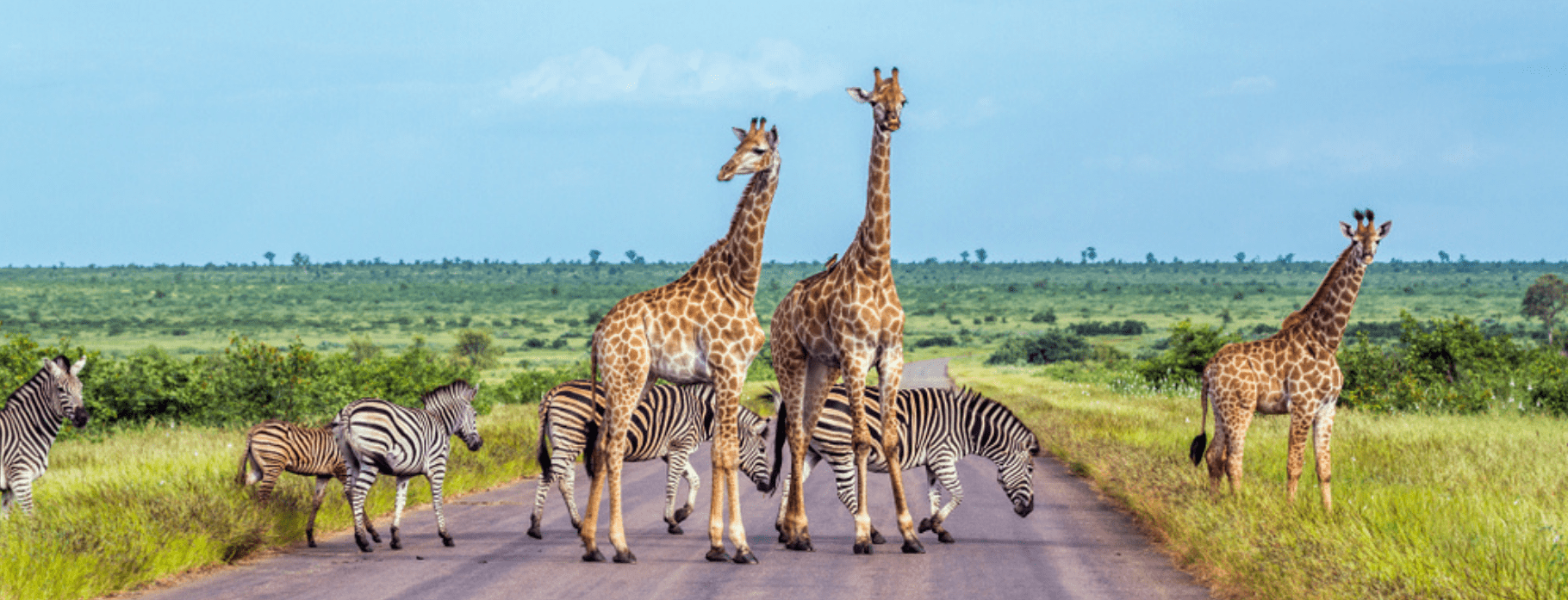 Small Group Journeys Africa Special Offer