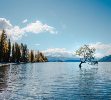 Franz Josef / Wanaka