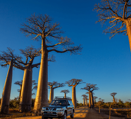 21 SEP (THU) 2023 ISALO NATIONAL PARK / MORONDAVA
