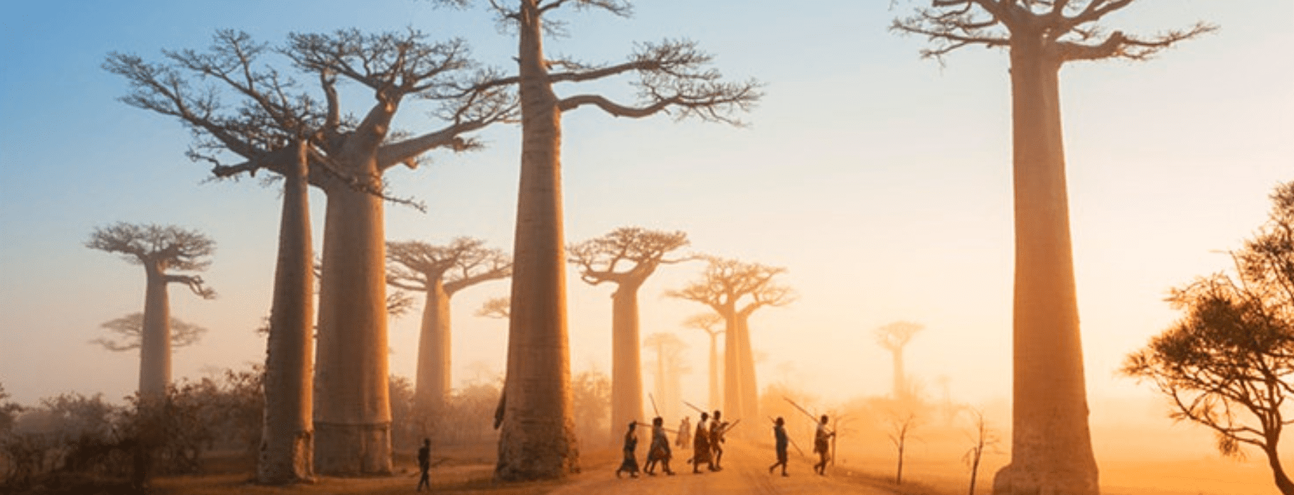 INTRIQ FINESSE:  11 DAYS MADAGASCAR AIR SAFARI