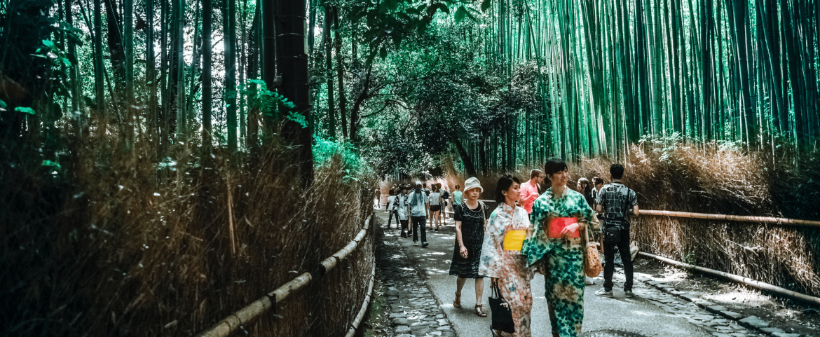 Luxury Travel Guide to Japan for 2022