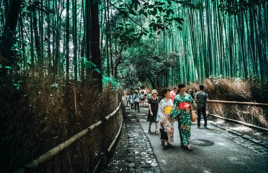 Luxury Travel Guide to Japan for 2022
