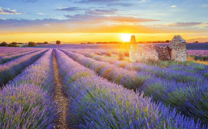 7 Luxurious Things to do in Provence