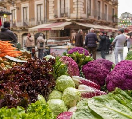 PALERMO / CEFALU / PALERMO