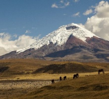 LATACUNGA / COTOPAXI NATIONAL PARK / QUITO 