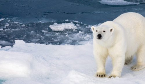 09/10 DAYS SPITSBERGEN EXPLORER