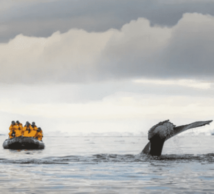 Disembark King George Island / Punta Arenas 