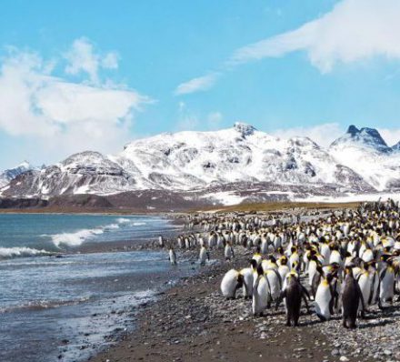 SOUTH GEORGIA