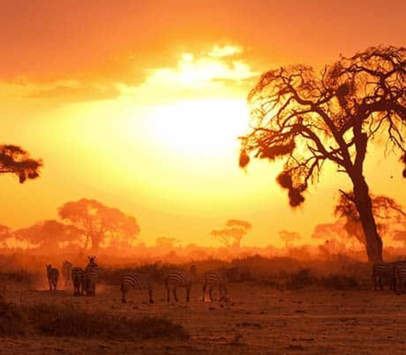 7 DAYS BEST OF KENYA